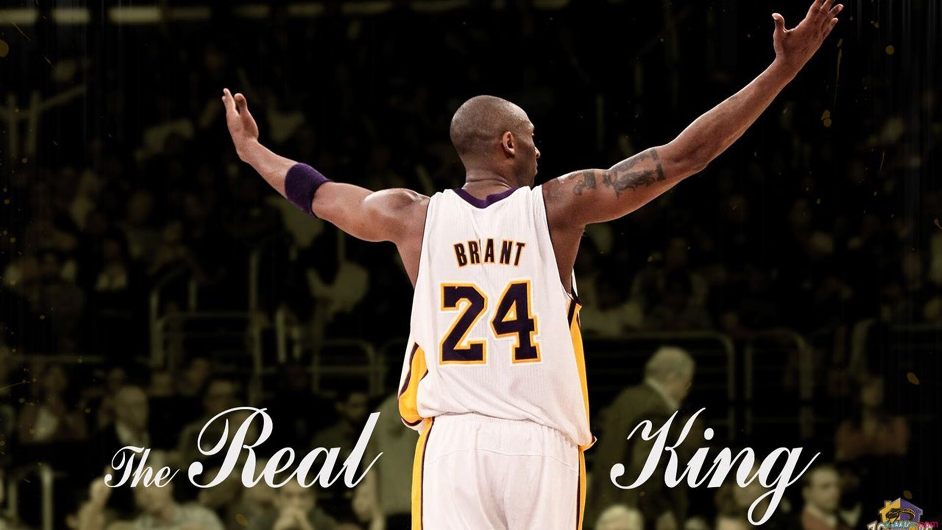 篮球运动在少数民族地区扎根，推动民族团结，民族团结篮球赛标语